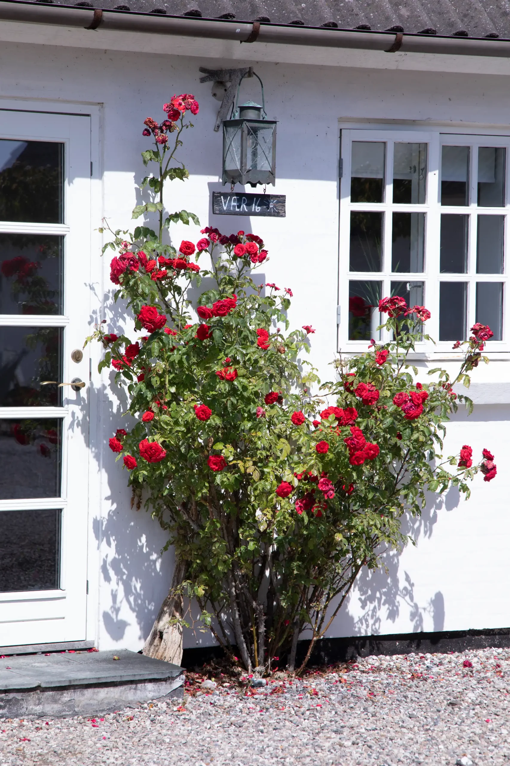 hotelophold, weekendophold, hotelovernatning, overnatning på hotel, hotel på fyn, weekendophold fyn, hotelophold fyn, Gl. brydegaard, hotel gl. brydegaard, konferencecenter, selskaber på fyn